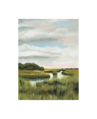 Naomi Mccavitt Marsh Landscapes I Canvas Art