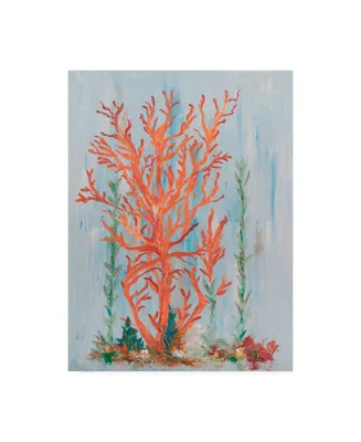 Olivia Brewington Painterly Coral Ii Canvas Art
