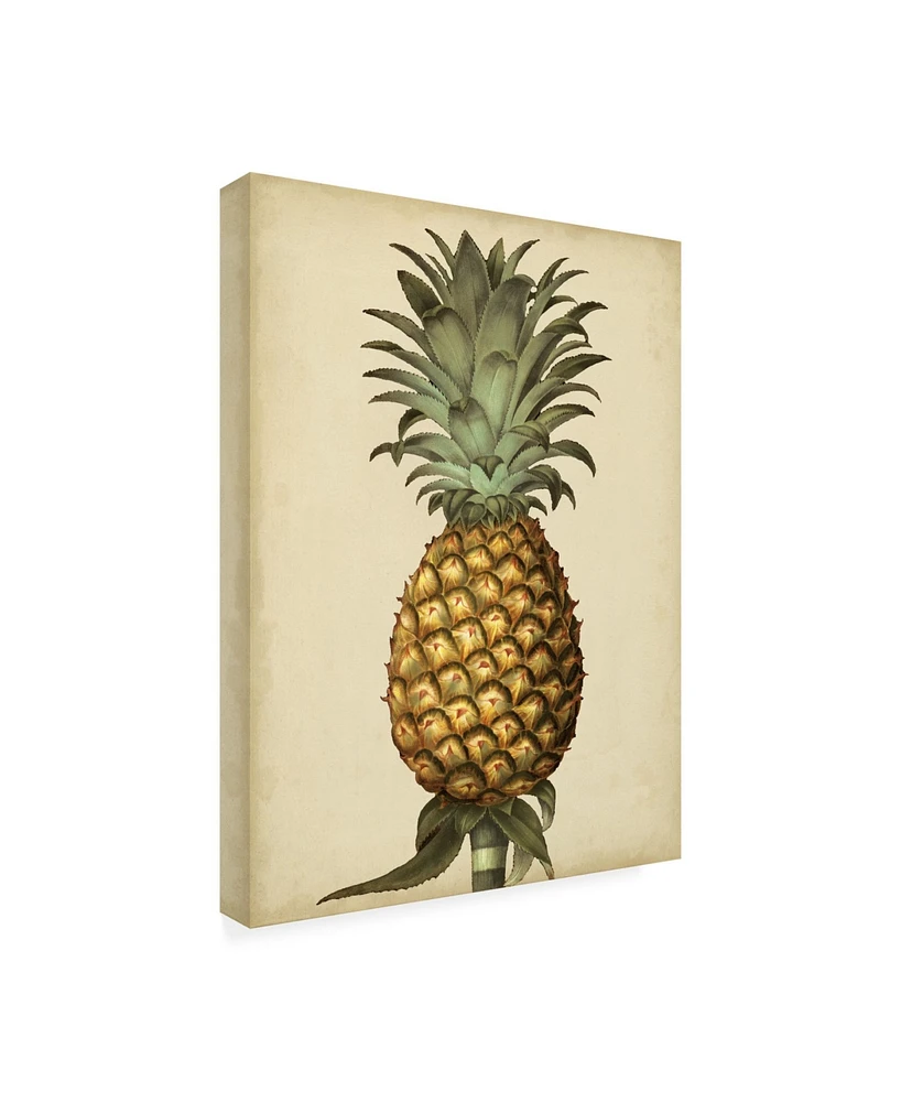 George Brookshaw Brookshaw Antique Pineapple I Canvas Art - 19.5" x 26"