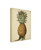 George Brookshaw Brookshaw Antique Pineapple I Canvas Art - 19.5" x 26"