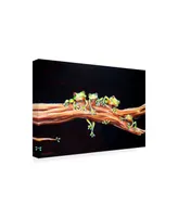 Deborah Broughton Frog Froggie hood Canvas Art - 19.5" x 26"