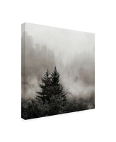 Nicholas Bel Rising Mist, Smoky Mountains Canvas Art - 15.5" x 21"