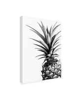 Lexie Gree Pineapple (Bw) Canvas Art - 19.5" x 26"