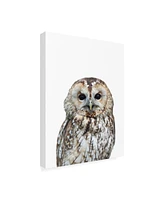 Lexie Gree Owl Portrait Canvas Art - 19.5" x 26"