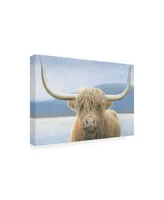 James Wiens Highland Cow Canvas Art