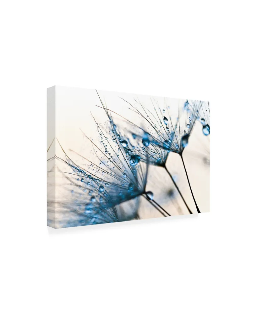 PhotoINC Studio Mystic Blue Canvas Art