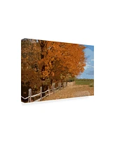 Monte Nagler Fall Color Foliage Canvas Art - 20" x 25"