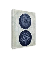 Fab Funky Indigo Blue Sea Urchins a Canvas Art - 27" x 33.5"