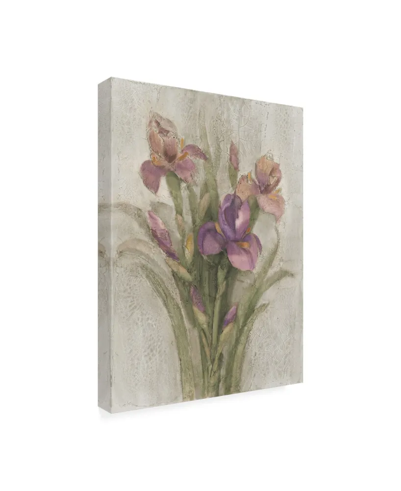 Albena Hristova Purple Iris Garden on Grey Canvas Art