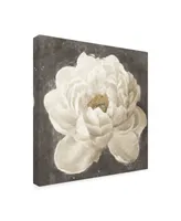 Danhui Nai Vivid Floral I White Flower Canvas Art - 19.5" x 26"