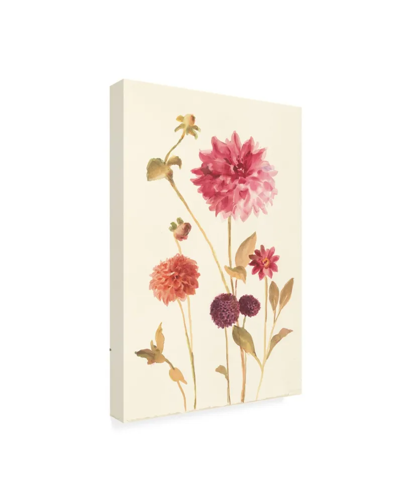 Danhui Nai Watercolor Flowers V Canvas Art