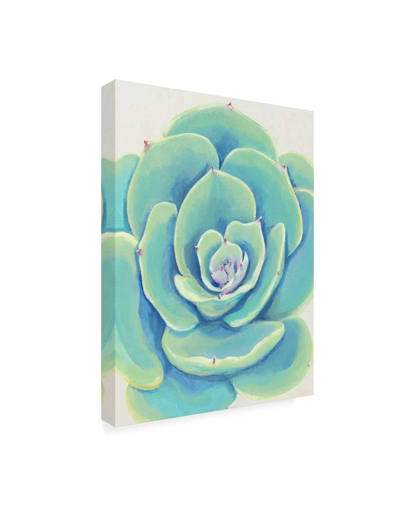 Tim O'Toole Pastel Succulent Iv Canvas Art - 19.5" x 26"