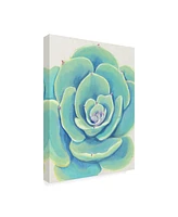 Tim O'Toole Pastel Succulent Iv Canvas Art - 19.5" x 26"