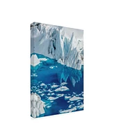 Dan Ballard Iceberg Floating Canvas Art - 19.5" x 26"