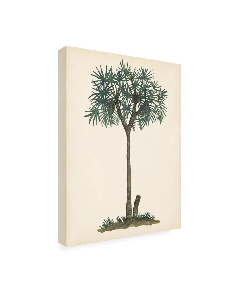Melissa Wang Palm Tree Study Iii Canvas Art - 27" x 33.5"