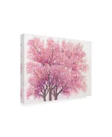 Tim OToole Pink Cherry Blossom Tree I Canvas Art