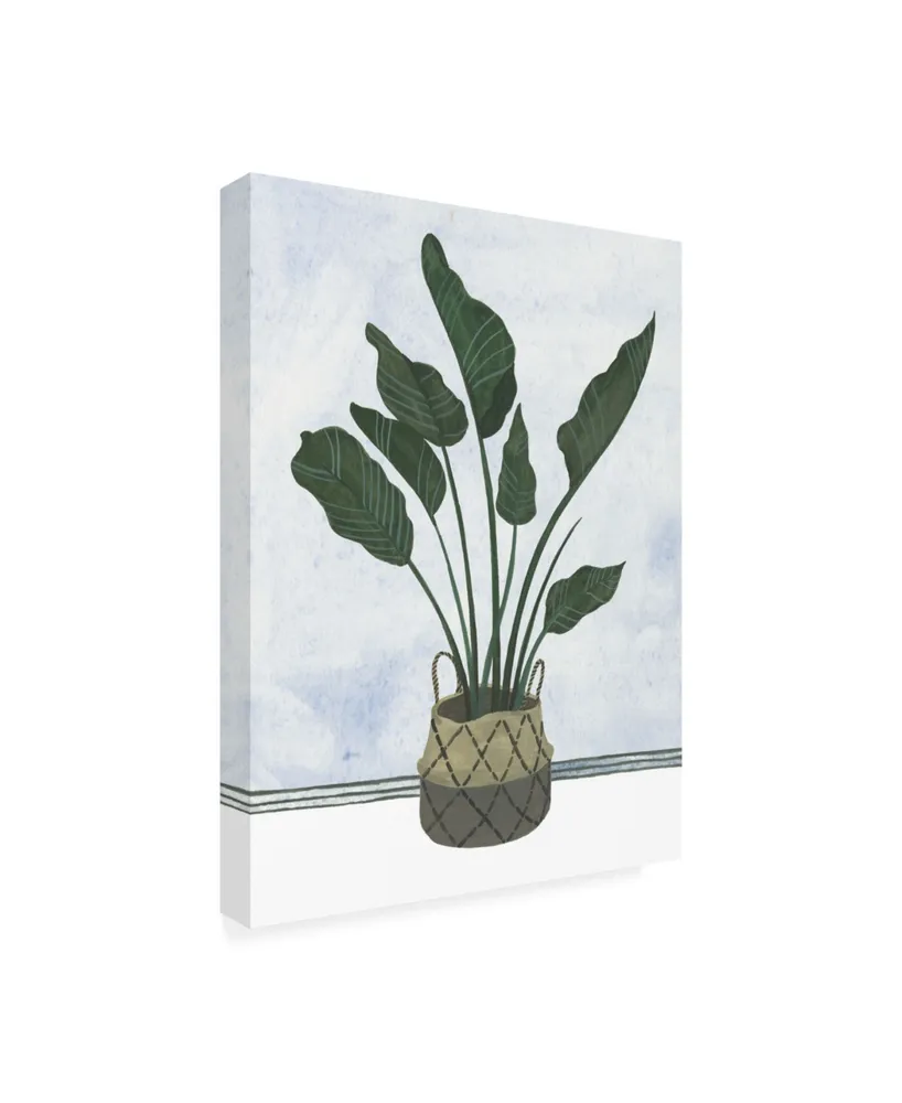 Melissa Wang Mes Plants Iii Canvas Art