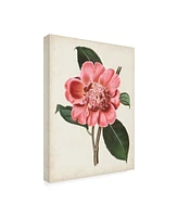 Curtis Carnelian Blooms I Canvas Art - 27" x 33.5"