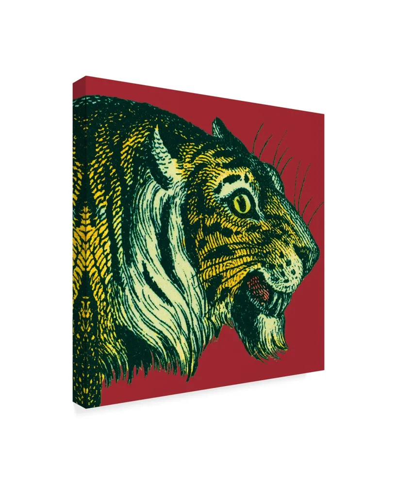 Wild Apple Portfolio Jungle Flair I Canvas Art