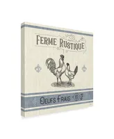 Pela Studio French Farmhouse Ii Canvas Art