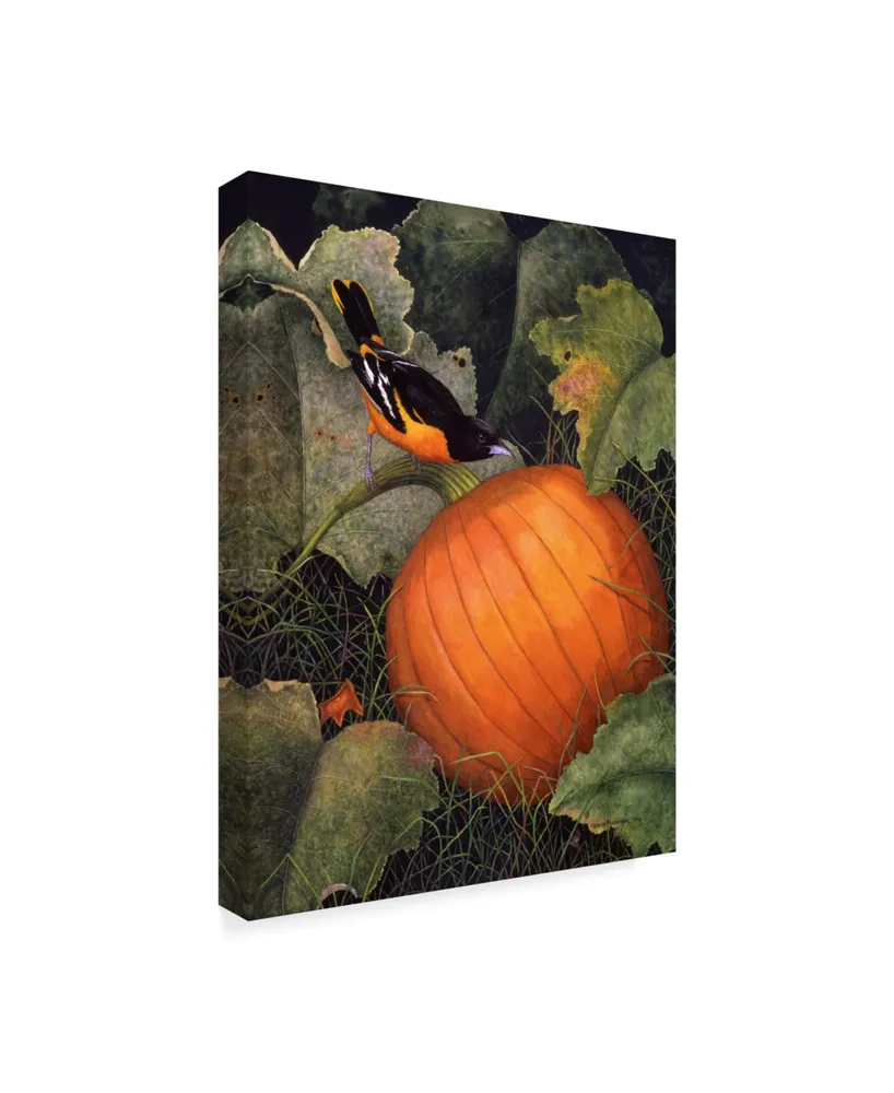 Marcia Matcham Oriole and Pumpkin Canvas Art