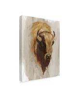 Ethan Harper Western American Animal Study Iii Canvas Art