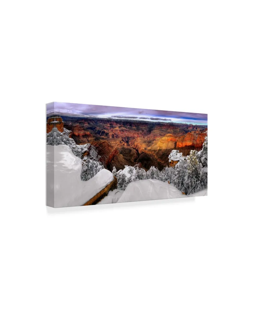David Drost Snowy Grand Canyon Vii Canvas Art
