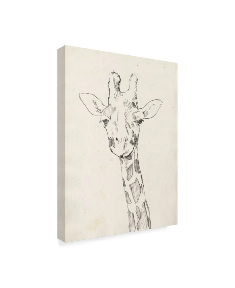 Jennifer Goldberger Giraffe Portrait Ii Canvas Art