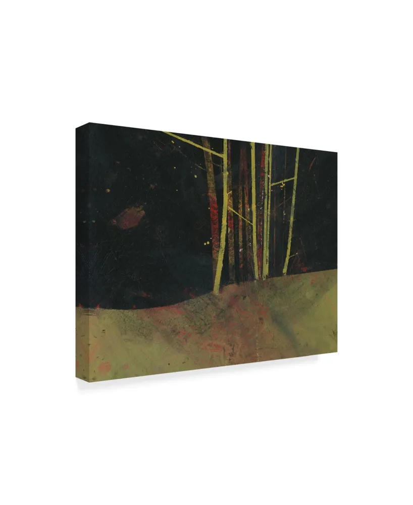 Paul Bailey Into the Dark Wood Canvas Art