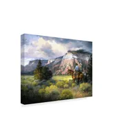 Jack Sorenson Spellbound Horses Canvas Art - 20" x 25"