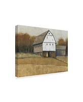 Tim Otoole White Barn View Ii Canvas Art - 20" x 25"