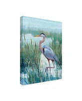 Tim Otoole Marsh Heron Ii Canvas Art - 20" x 25"