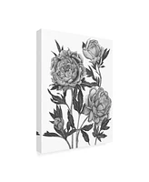 Melissa Wang Flowers in Grey V Canvas Art - 37" x 49"