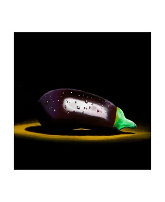 Roderick Stevens Eggplant Canvas Art