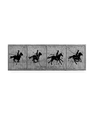 Roderick Stevens Horse in Motion Canvas Art