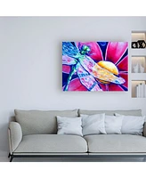 Deborah Broughton Flower Pink Daisy Dragonfly Canvas Art - 27" x 33.5"