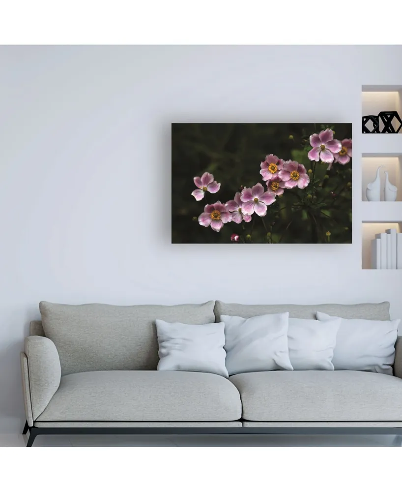 Kurt Shaffer Photographs Pink in the Garden Canvas Art