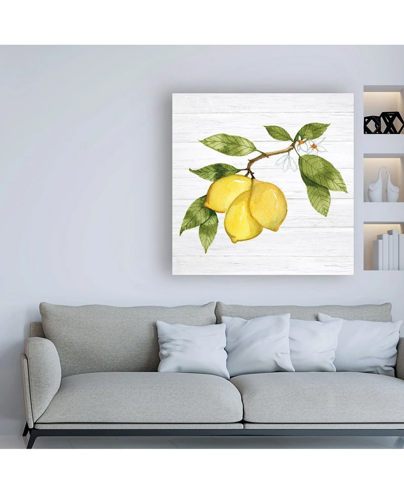 Kathleen Parr McKenna Citrus Garden I Shiplap Canvas Art