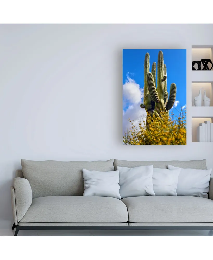 Mitch Catanzaro Saguaro Canvas Art