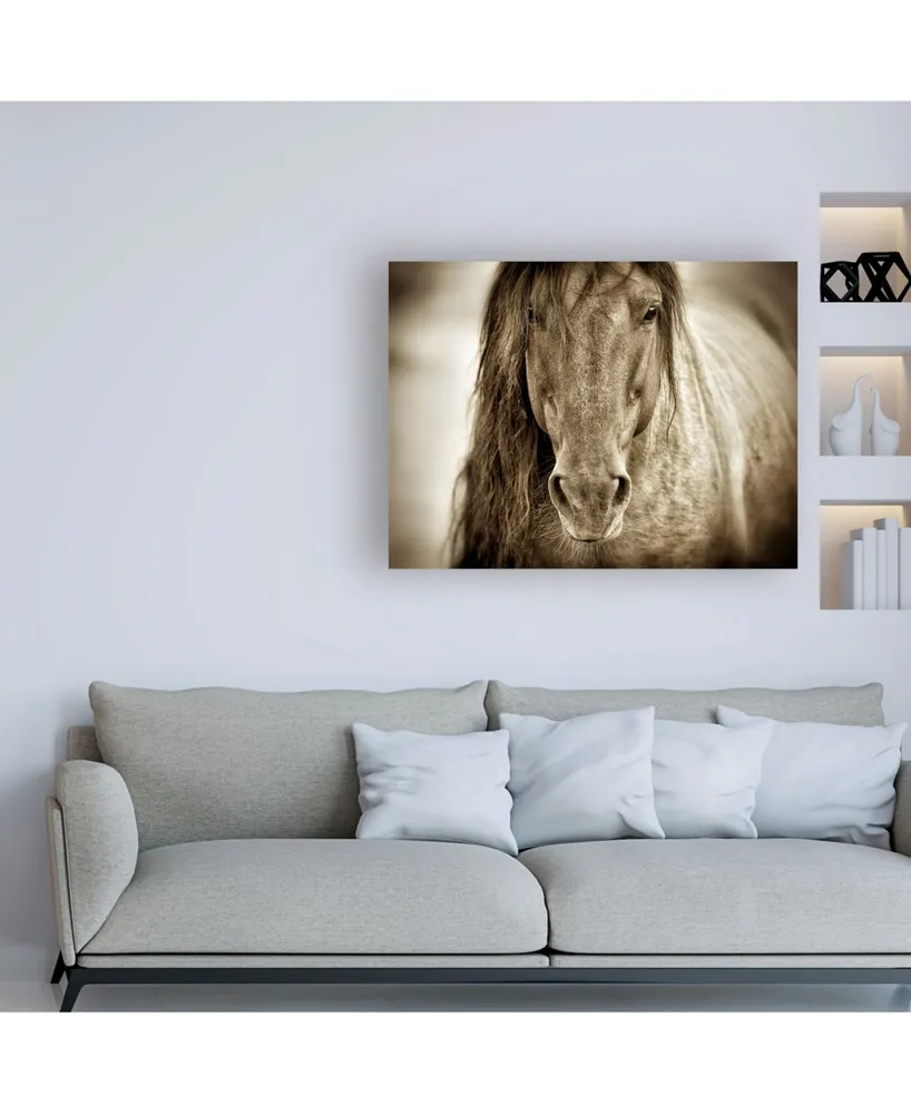 Lisa Dearin Mustang Sally Horse Canvas Art