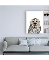 Lexie Gree Owl Portrait Canvas Art - 19.5" x 26"