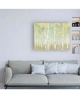 Julia Purinton Sylvan Birches Canvas Art - 27" x 33.5"