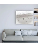 Brooke T. Ryan Sandpipers Canvas Art - 36.5" x 48"