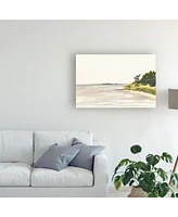 Dianne Miller Solitary Coastline I Canvas Art - 20" x 25"