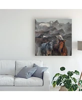 Huseyin Taskin Two Horses Fog Canvas Art - 20" x 25"