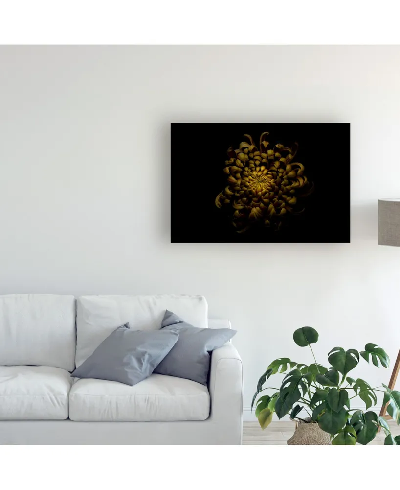 Lotte Gronkjar Chrysanthemum Yellow Canvas Art