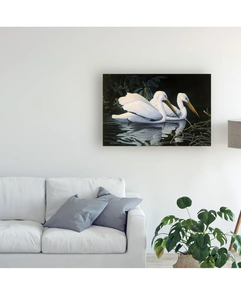 Michael Budden Pelicans Swimming Canvas Art