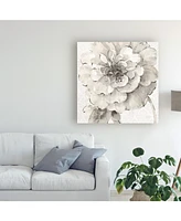 Lisa Audit Indigold Vii Gray Canvas Art - 20" x 25"