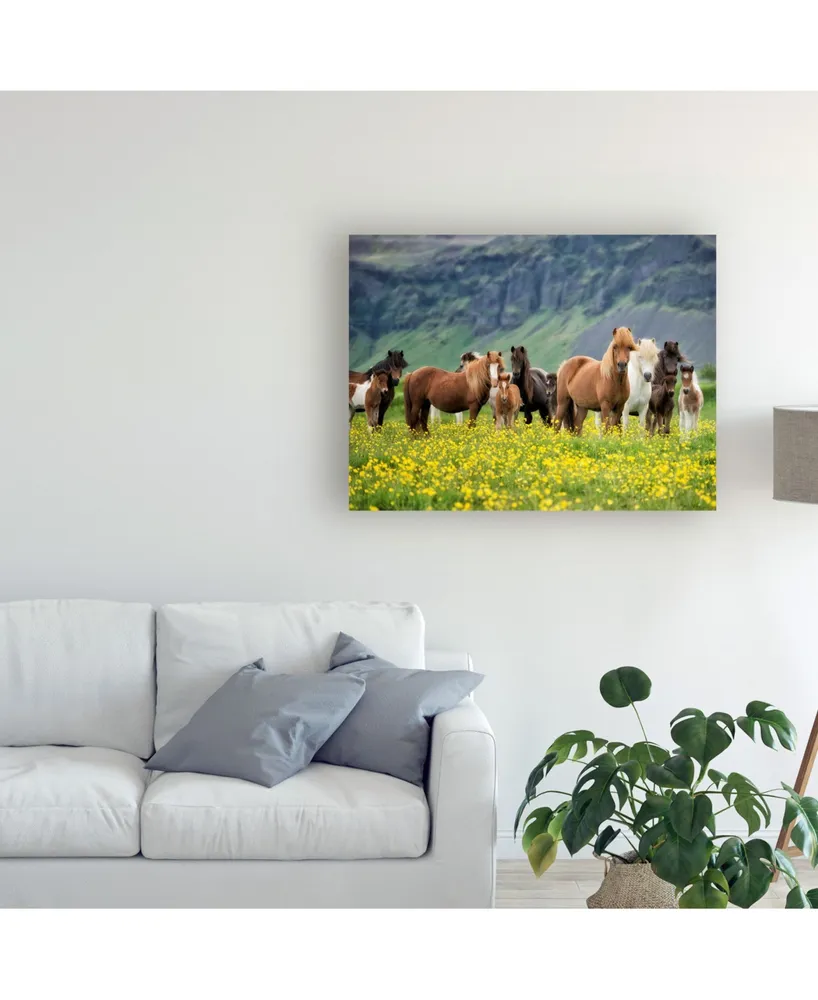 Ph Burchett Icelandic Horses Vii Canvas Art