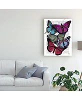 Fab Funky Big Bold Butterflies 3 Canvas Art